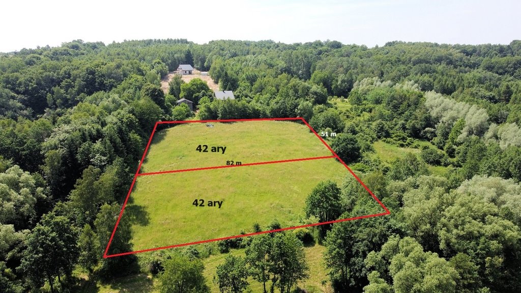 Widokowa działka w Kielnarowej 42 arów z warunkami zabudowy Kielnarowa  4 204m2 Foto 1