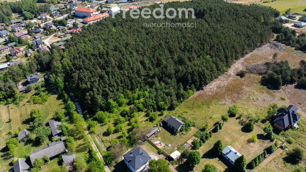 Działka budowlana na sprzedaż Krasocin  10 400m2 Foto 4