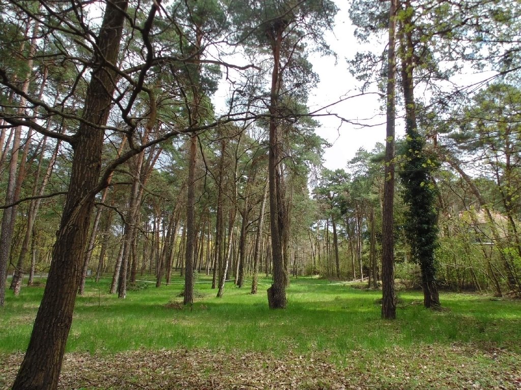 Działka inwestycyjna na sprzedaż Konstancin-Jeziorna, Potulickich  3 000m2 Foto 2