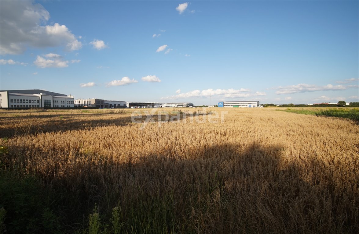 Działka inwestycyjna na sprzedaż Łąka  52 145m2 Foto 1