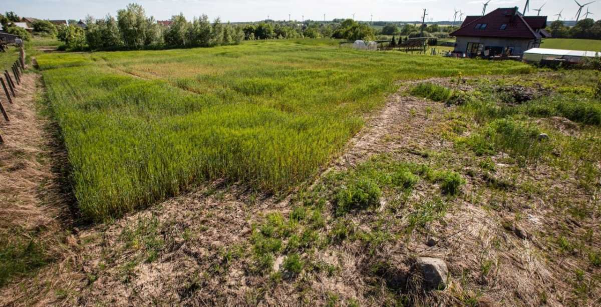 Działka inna na sprzedaż Postomino  1 500m2 Foto 1