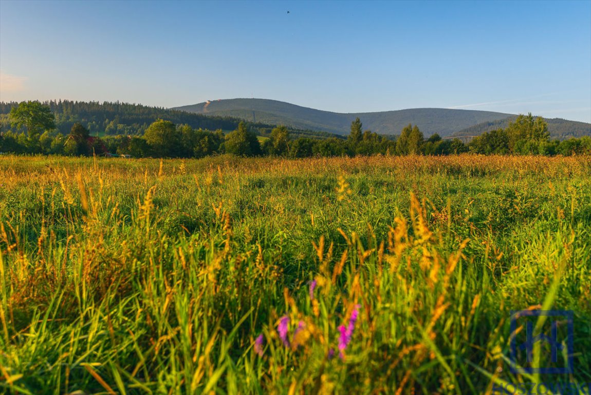 Działka budowlana na sprzedaż Świeradów-Zdrój  800m2 Foto 9