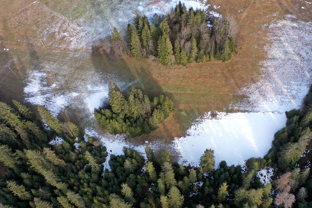 Działka rolna na sprzedaż Brzegi  4 535m2 Foto 8