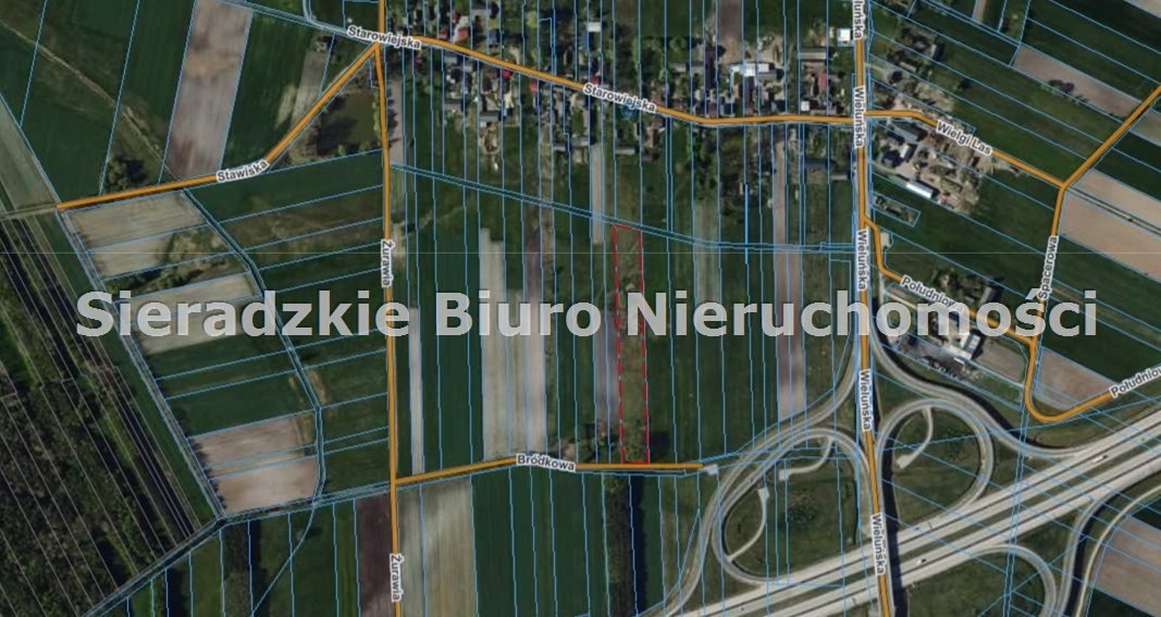 Zdjęcie 4
