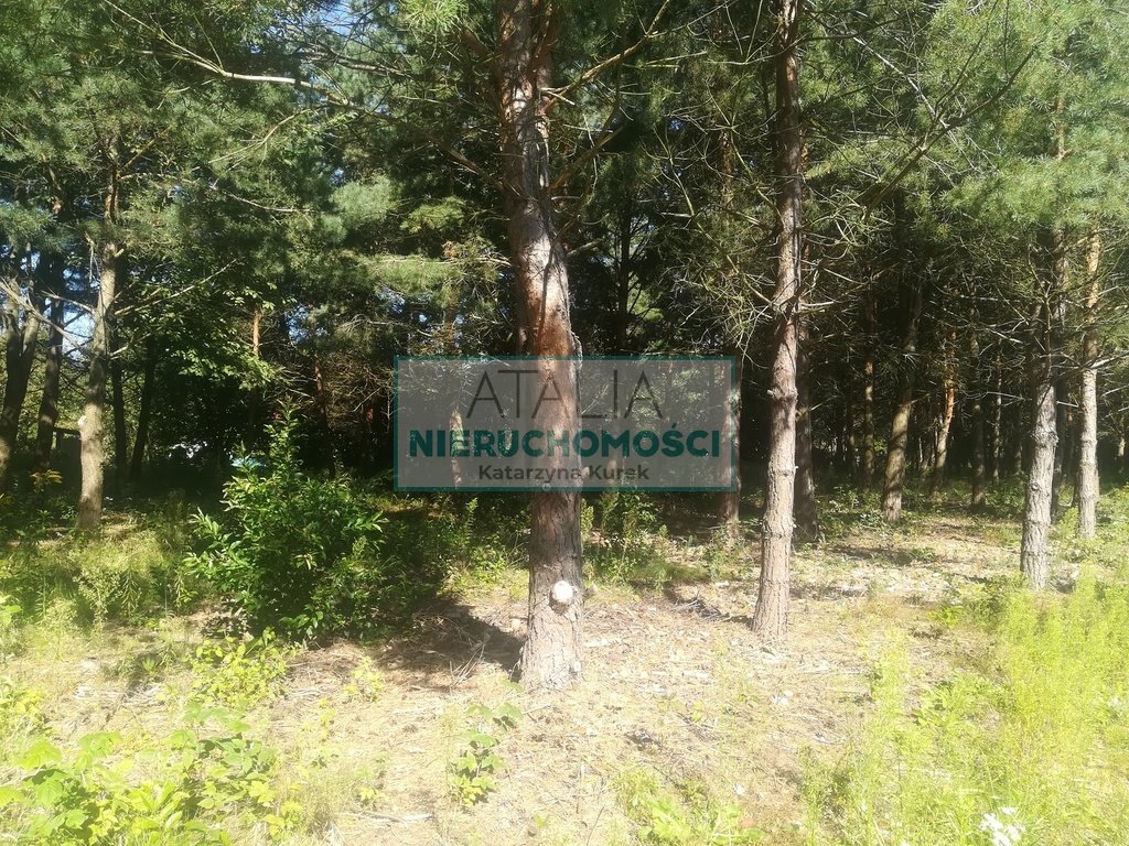 Działka 3400 m² w Mieszkowie, cicha okolica, media blisko Mieszkowo  3 400m2 Foto 1