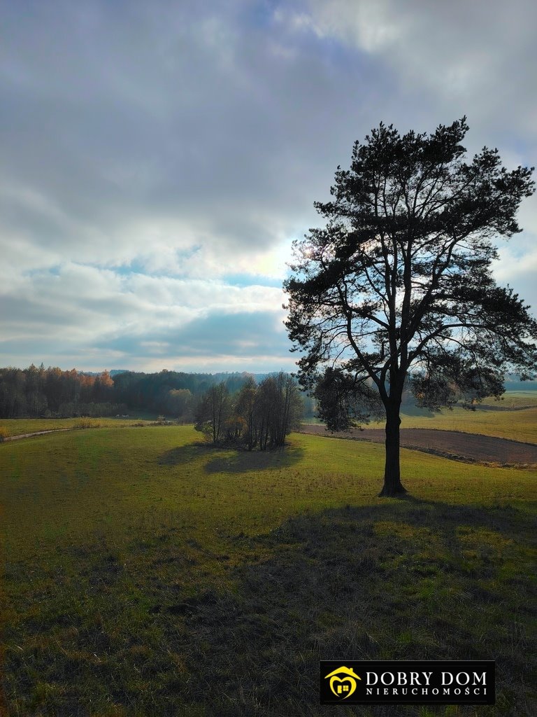 Działka rolna na sprzedaż Przerośl  43 316m2 Foto 4