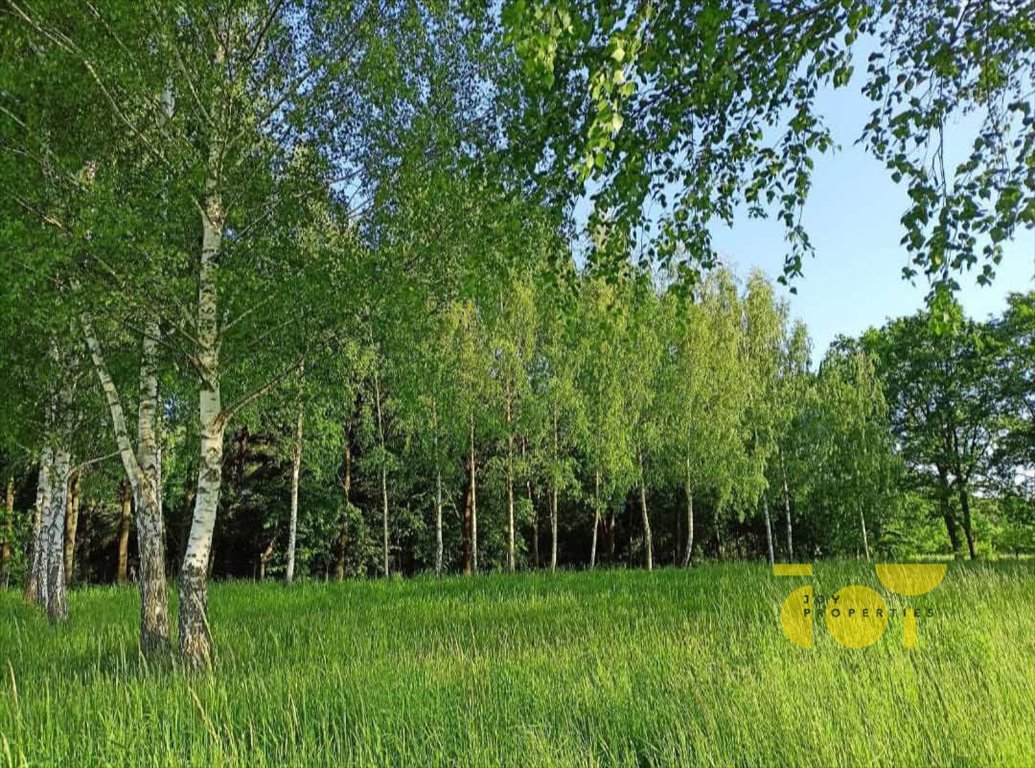 Działka budowlana na sprzedaż Słomczyn, Wilanowska  3 058m2 Foto 1