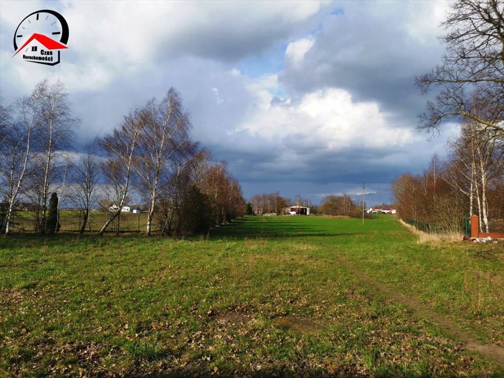 Dom na sprzedaż Kolonia Bodzanowska  800m2 Foto 4