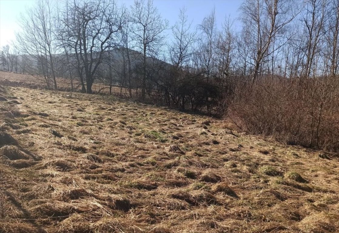 Działka budowlana na sprzedaż Milówka  1 300m2 Foto 12