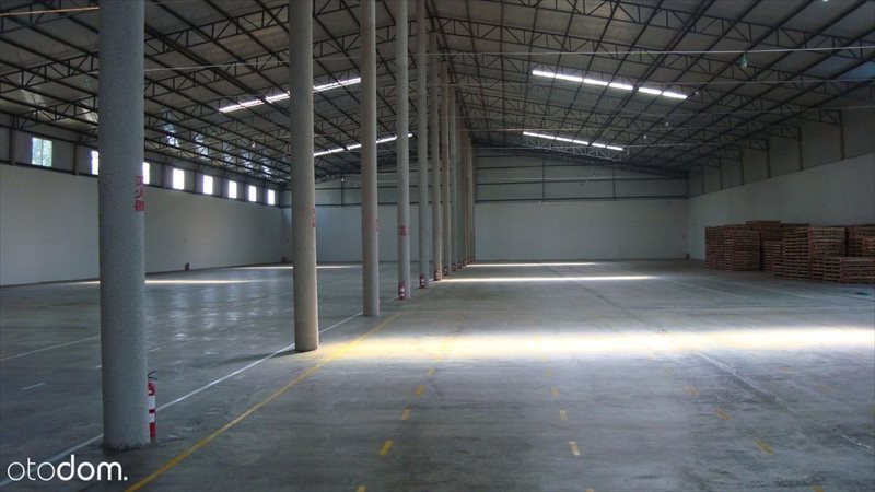 Lokal użytkowy na wynajem Świnoujście 1 000m2 Foto 1 Lokal użytkowy na wynajem Świnoujście 1 000m2 Foto 1