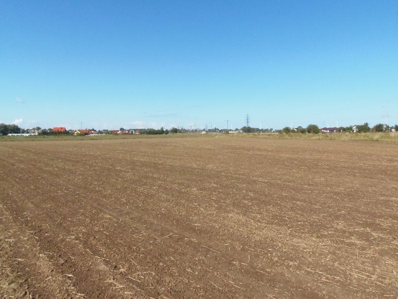 Działka inna na sprzedaż Nowy Dwór Gdański, Zagonowa 9 066m2 Foto 1 Działka inna na sprzedaż Nowy Dwór Gdański, Zagonowa 9 066m2 Foto 1