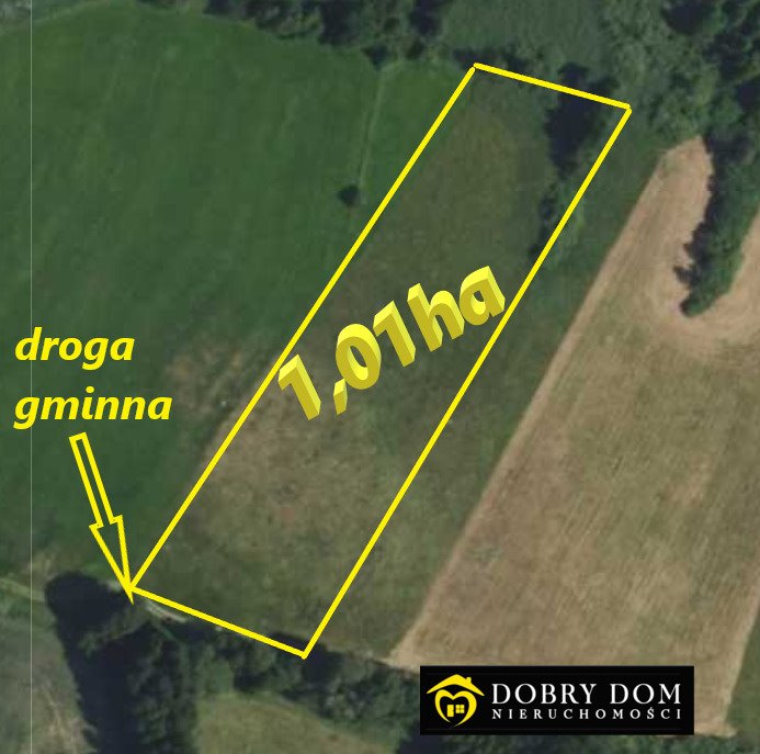 Działka rolna 1,01 ha z łąkami i drzewami w Pieńkach Pieńki  10 100m2 Foto 1