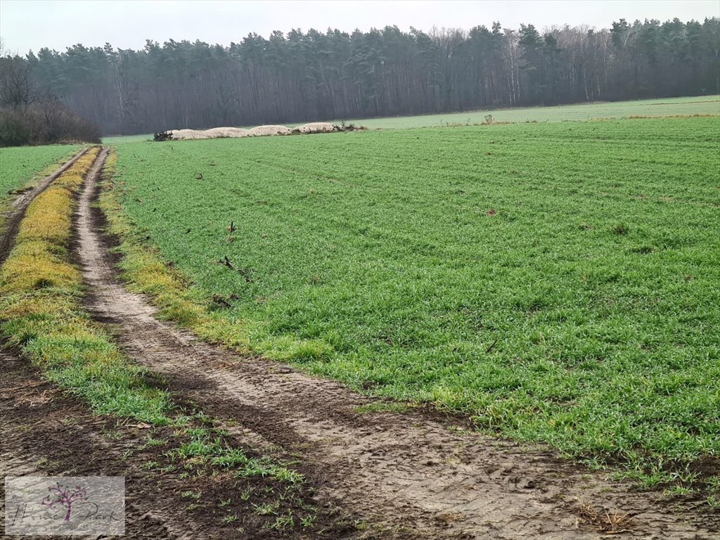 Działka budowlana na sprzedaż Gajówka, Gajówka  4 500m2 Foto 3