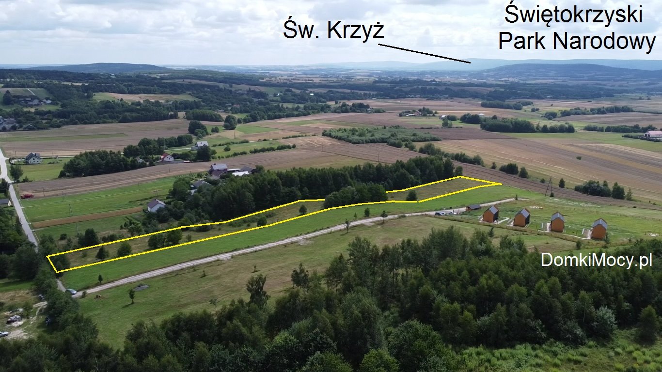 Działka budowlana na sprzedaż Orzechówka  9 800m2 Foto 4