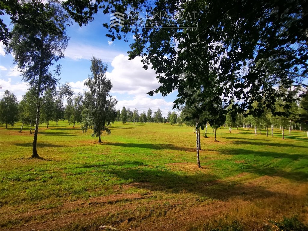 Działka przemysłowo-handlowa na sprzedaż Guty  3 001m2 Foto 3