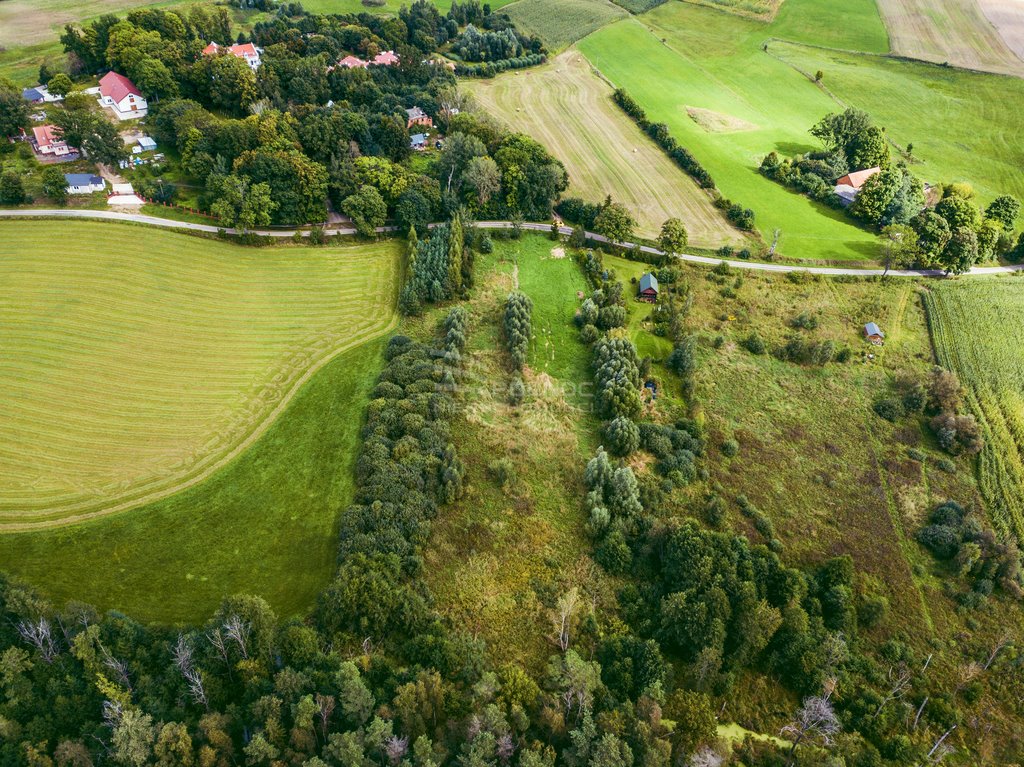 Działka rolna na sprzedaż Golubie  3 687m2 Foto 5