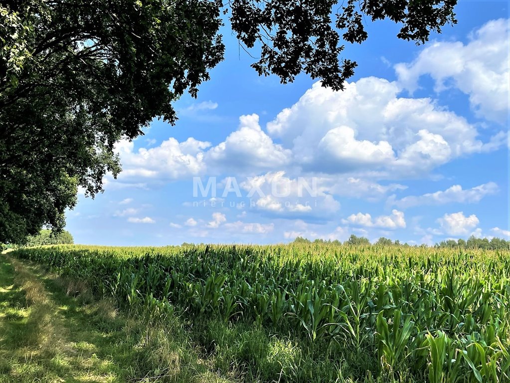 Działka inna na sprzedaż Pasikonie  9 100m2 Foto 3