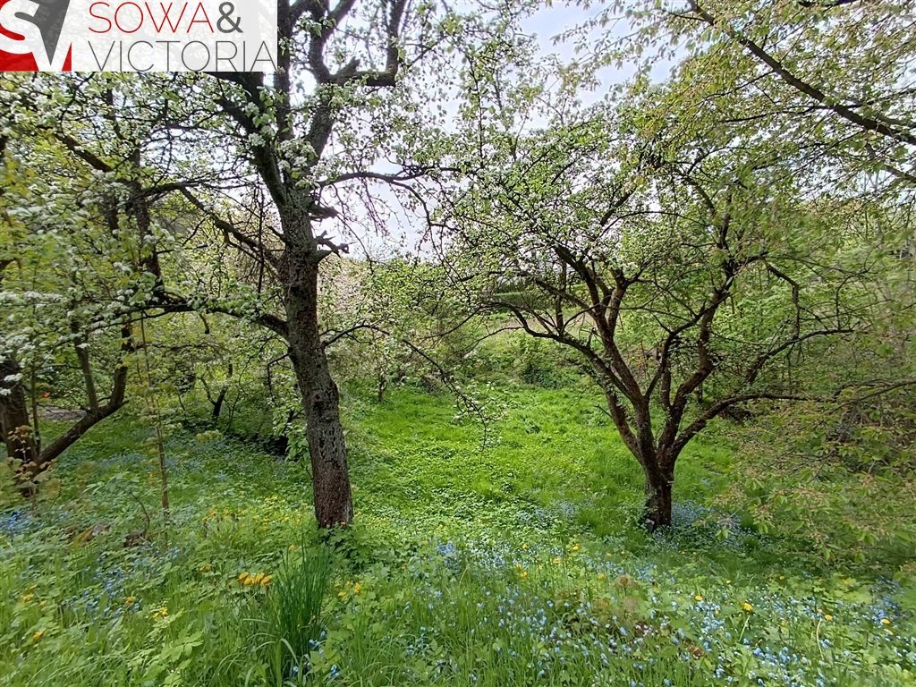 Mieszkanie trzypokojowe na sprzedaż Wałbrzych, Podgórze  168m2 Foto 15