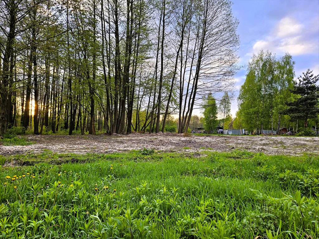 Działka leśna z prawem budowy na sprzedaż Zielona Góra, Wiesława  4 200m2 Foto 6