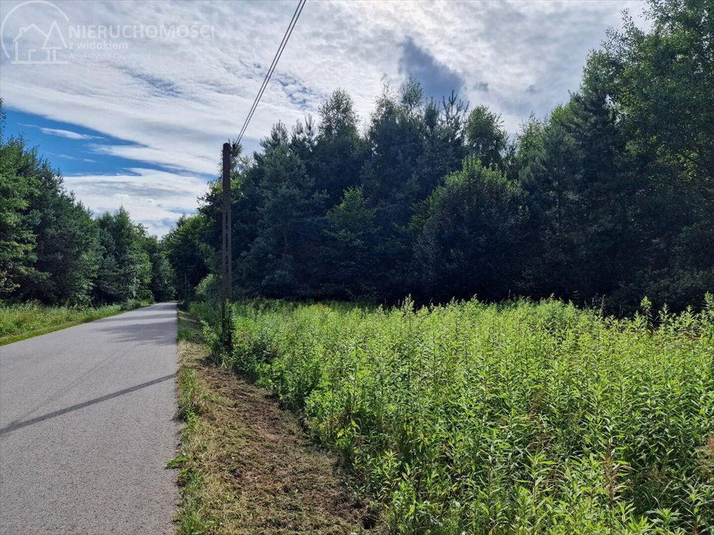 Działka leśna na sprzedaż Pojawie  10 700m2 Foto 8