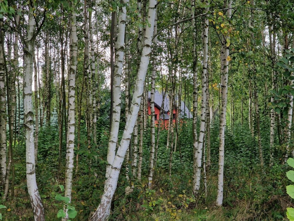 Dom na sprzedaż Chmieleń  420m2 Foto 4