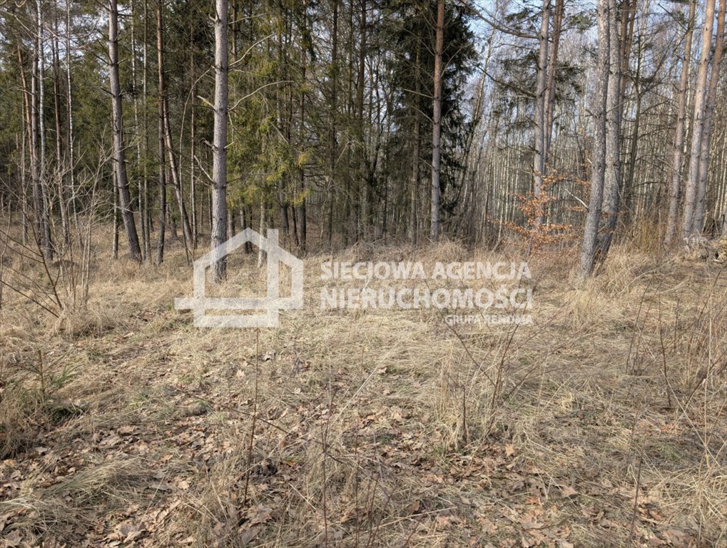 Działka 1500 m² pod zabudowę jednorodzinną w Otominie Otomin  1 500m2 Foto 1