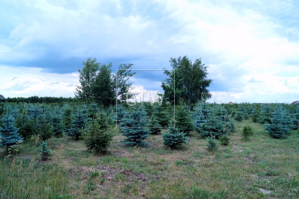 Działka rolna na sprzedaż Miedzechów  39 291m2 Foto 5