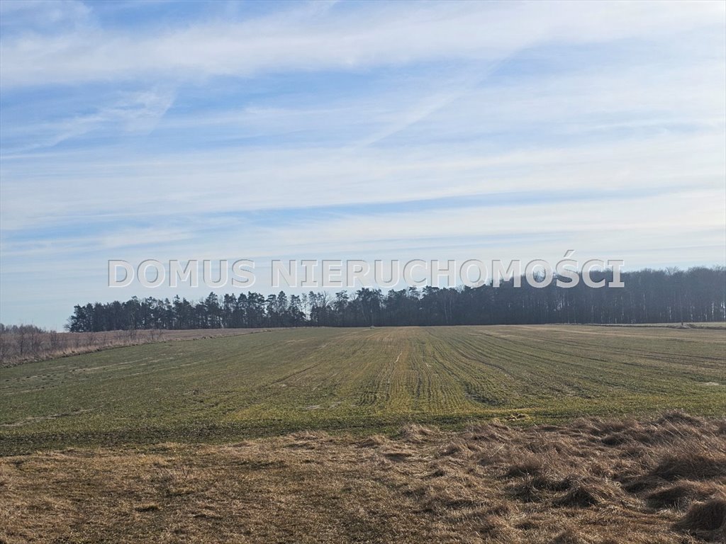 Działka 4500 m² z planem pod zabudowę jednorodzinną Polik  4 500m2 Foto 1