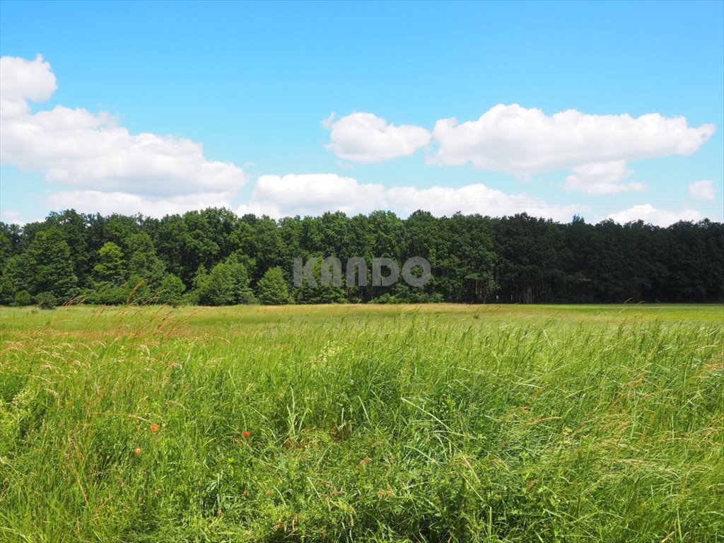 Działka rolna na sprzedaż Kryniczno  41 500m2 Foto 1