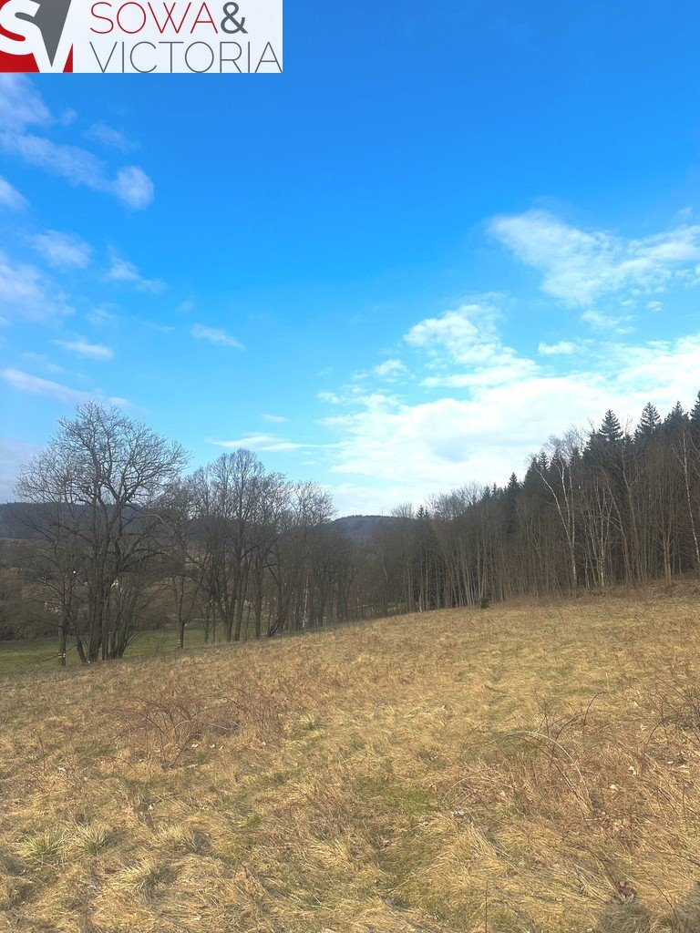 Działka budowlana na sprzedaż Leszczyniec  1 500m2 Foto 1