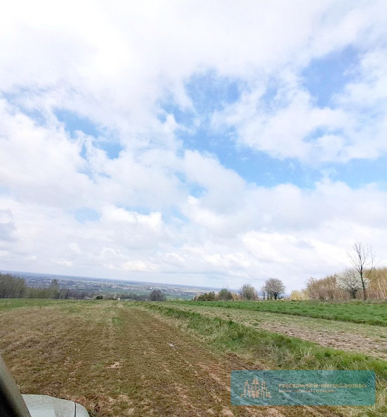 Działka budowlana na sprzedaż Dąbrowa  10 400m2 Foto 1