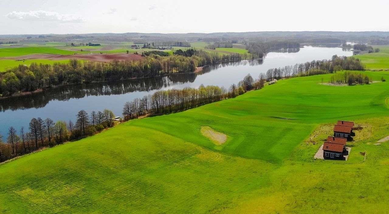 Działka budowlana na sprzedaż Miłki  10 002m2 Foto 8