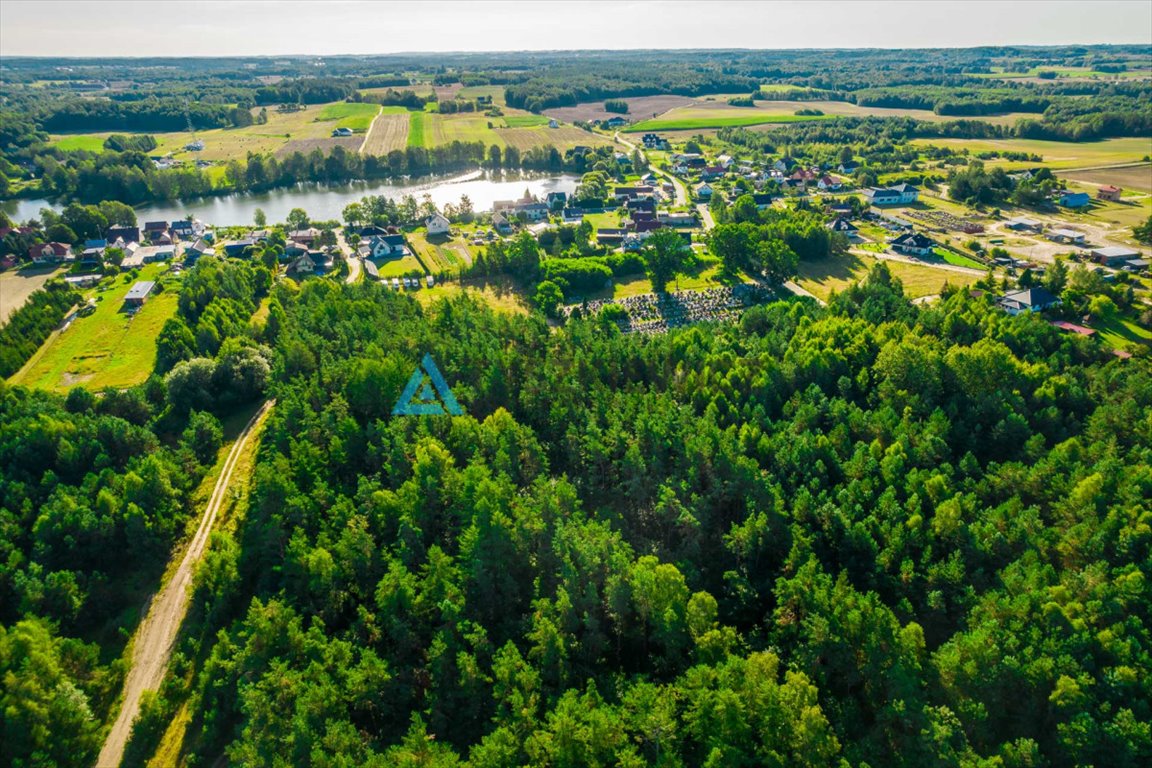 Działka siedliskowa na sprzedaż Rokity  10 001m2 Foto 4