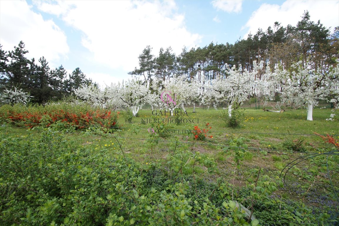 Działka inna na sprzedaż Lubicz Dolny  4 300m2 Foto 13