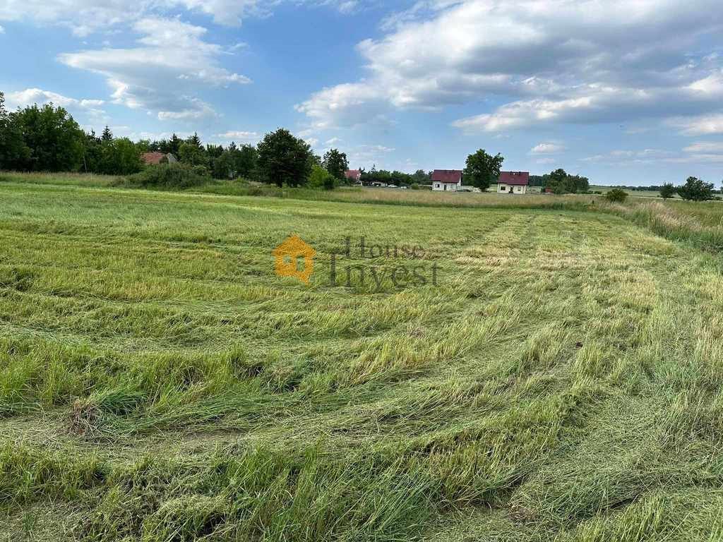 Działka budowlana na sprzedaż Wągrodno  4 400m2 Foto 10