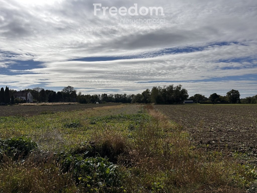 Działka rolna na sprzedaż Dwory Drugie  1 905m2 Foto 7