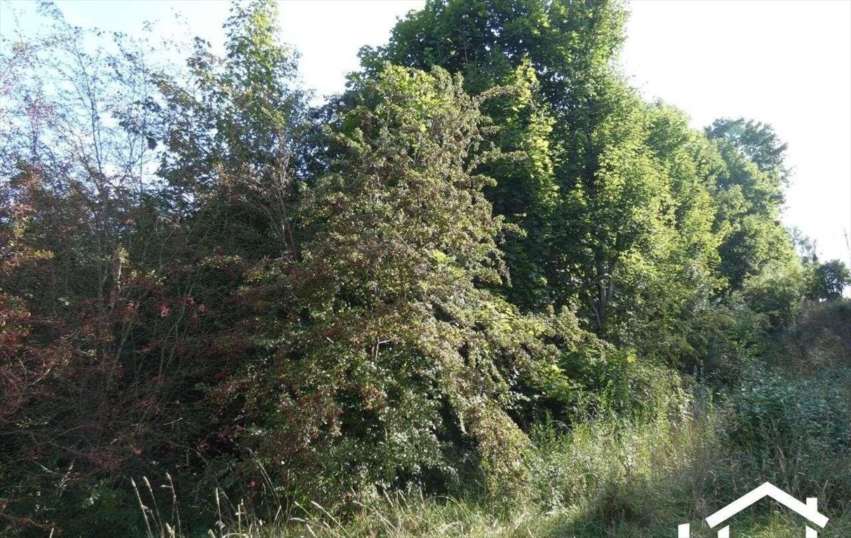 Działka budowlana na sprzedaż Charzykowy, ul. Droga pod Strzechę  2 133m2 Foto 3