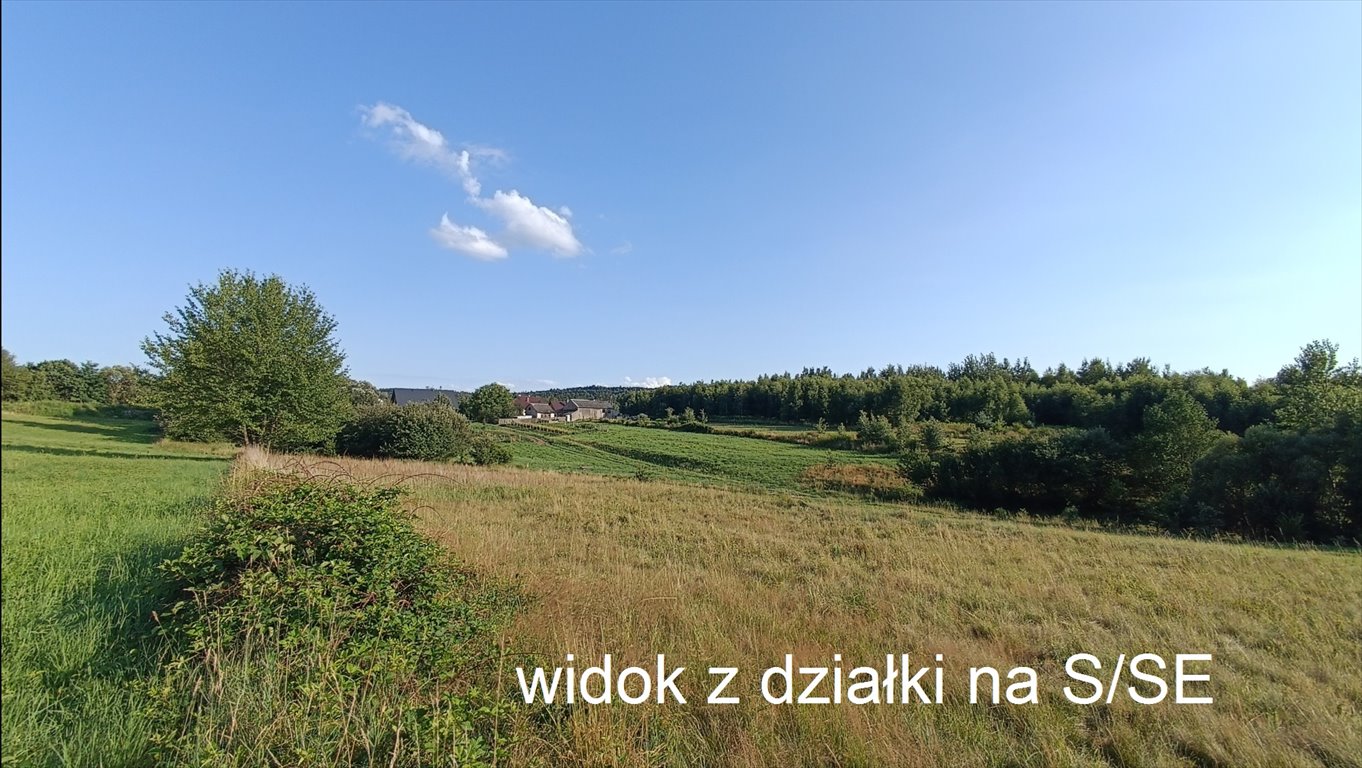 Działka siedliskowa na sprzedaż Czerwona Górka  27 100m2 Foto 1