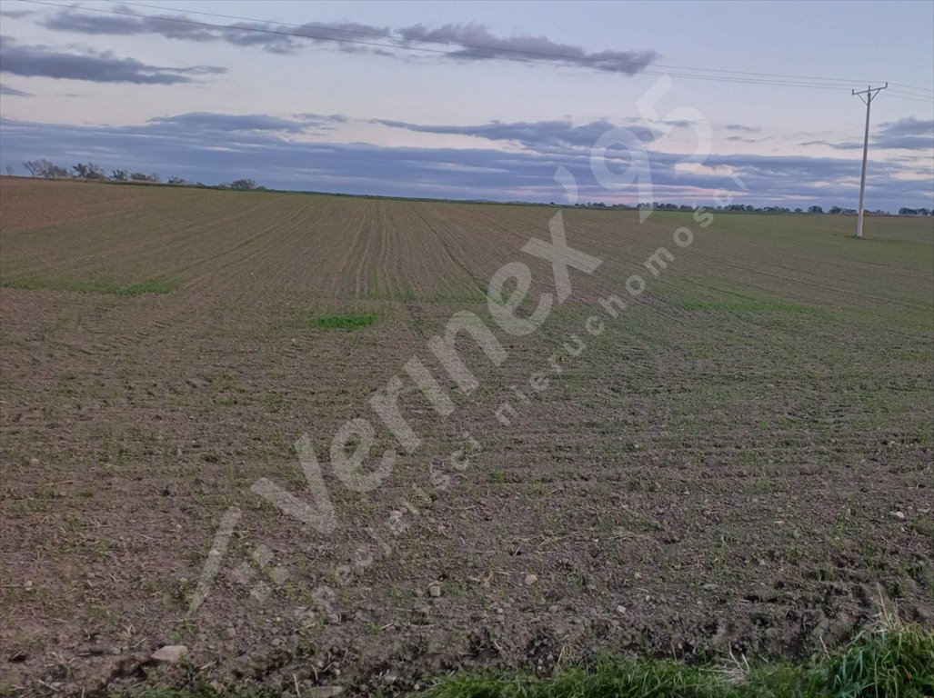 Działka budowlana na sprzedaż Jawor  2 375m2 Foto 5