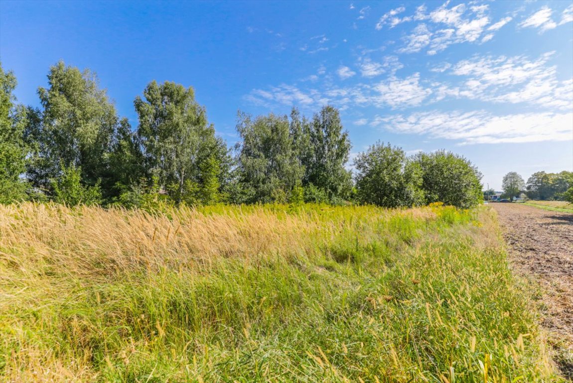 Działka budowlana na sprzedaż Żabia Wola  3 667m2 Foto 3