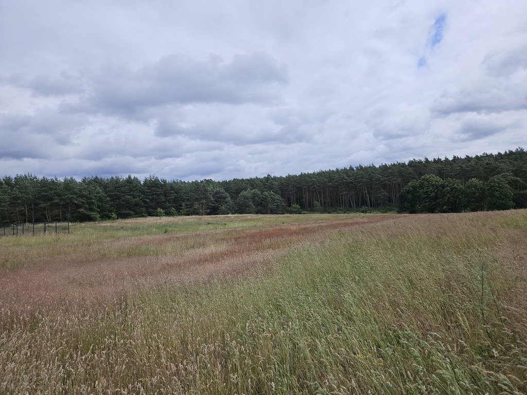 Działka budowlana na sprzedaż Klepin  1 204m2 Foto 13