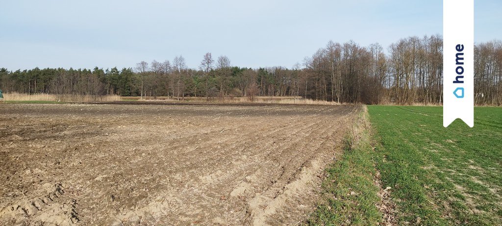 Działka budowlana na sprzedaż Zarośle Cienkie  3 003m2 Foto 3