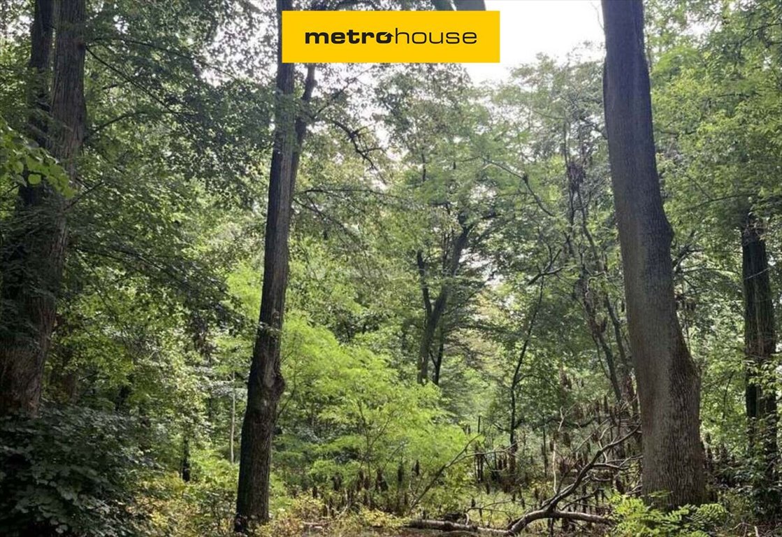 Do sprzedania przestronna działka 3117 m² przy rzece Świder Otwock, Górna  3 117m2 Foto 1