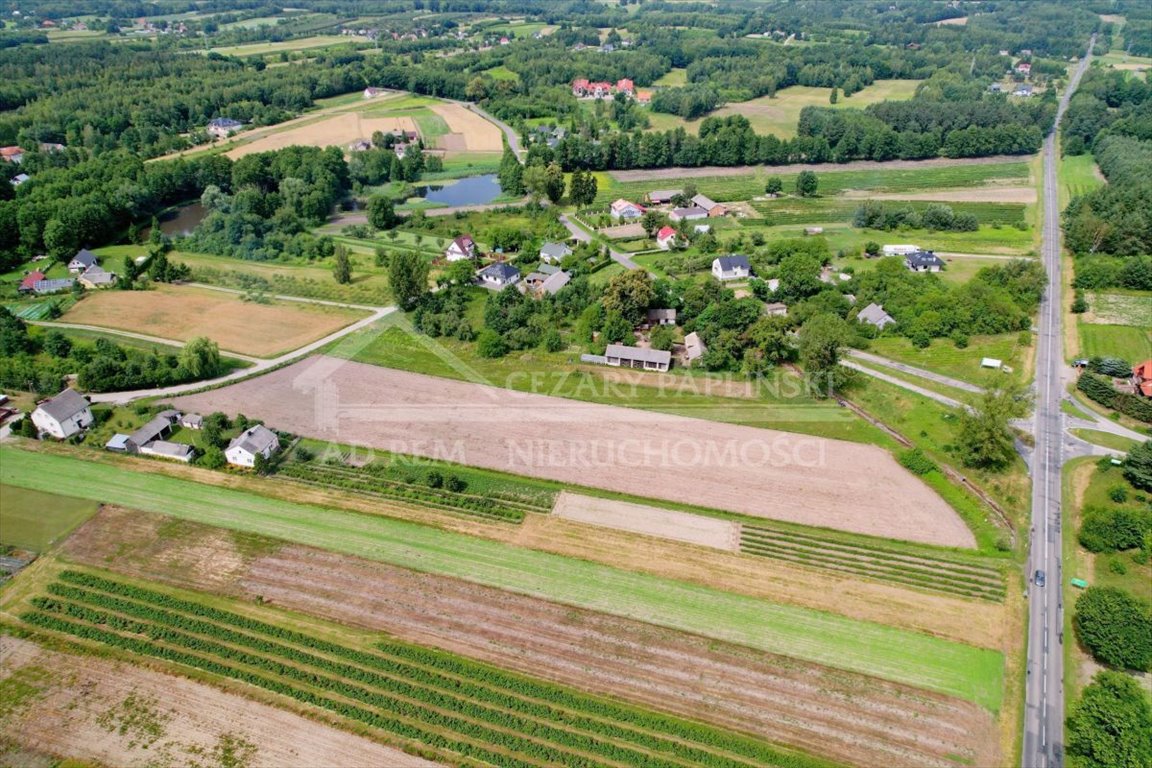 Działka inwestycyjna na sprzedaż Uściąż, Uściąż  10 500m2 Foto 5