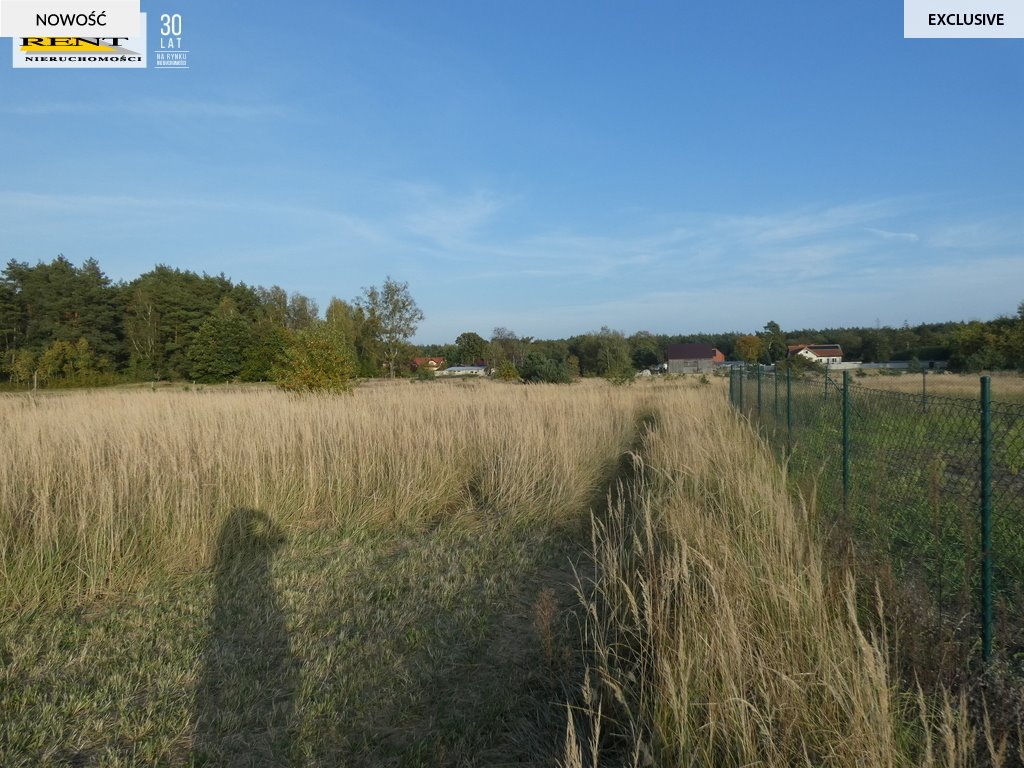 Działka budowlana na sprzedaż Komarowo  1 000m2 Foto 4