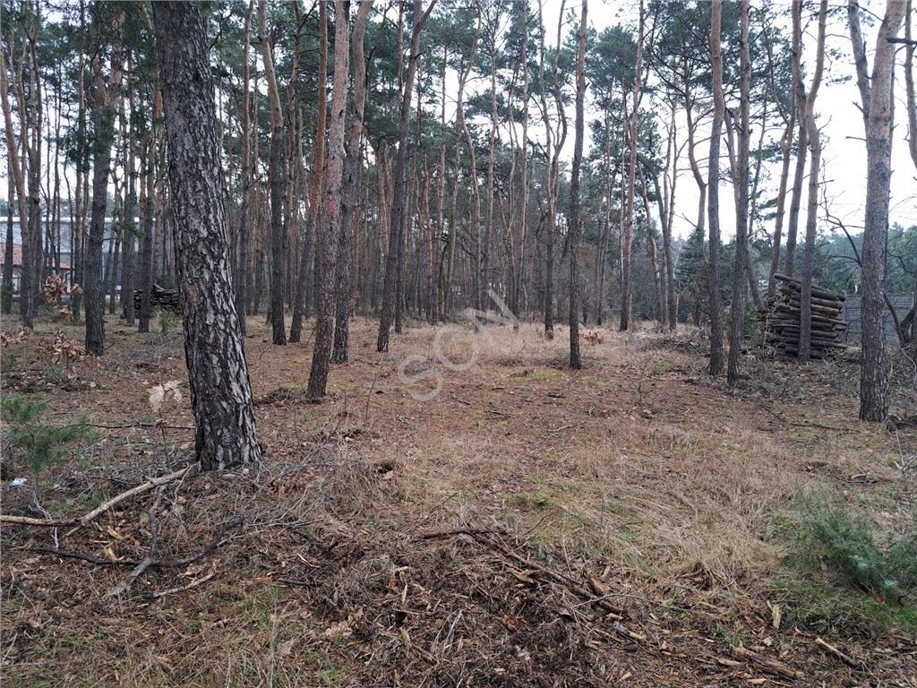 Działka leśna na sprzedaż Józefów  2 732m2 Foto 1