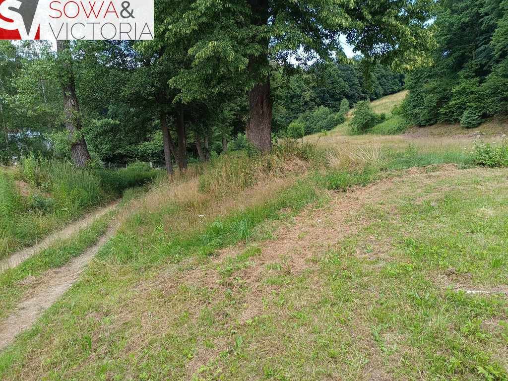 Działka rolna 21 800 m² z lasami, media, dojazd - polecam! Pogorzała  21 800m2 Foto 1