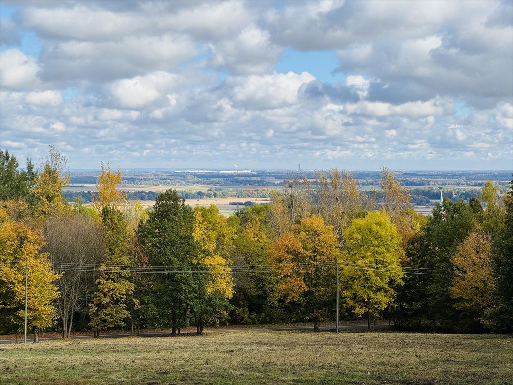 Malownicza działka 1,8 ha pod inwestycję w Sobótce Sobótka, Armii Krajowej  18 046m2 Foto 1