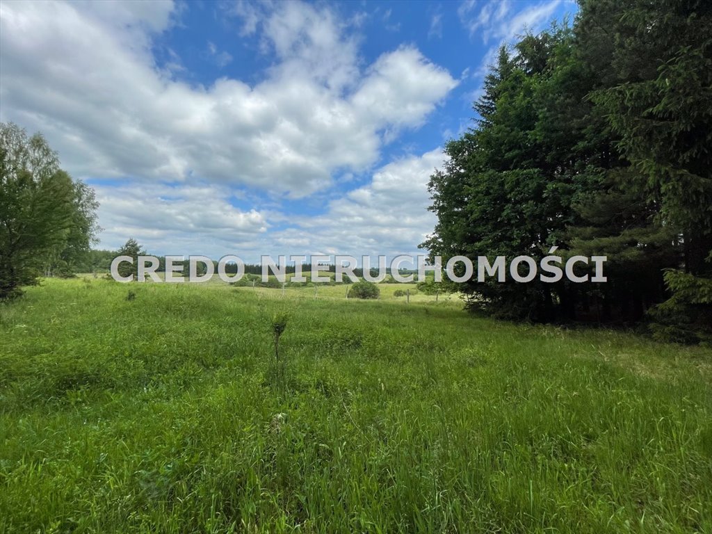 Działka inna na sprzedaż Kaborno  6 800m2 Foto 11