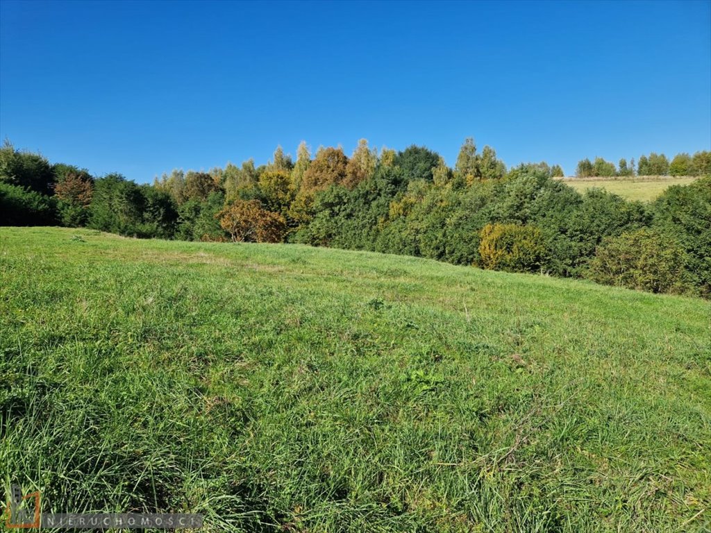 Działka budowlana na sprzedaż Michałowice  4 400m2 Foto 5